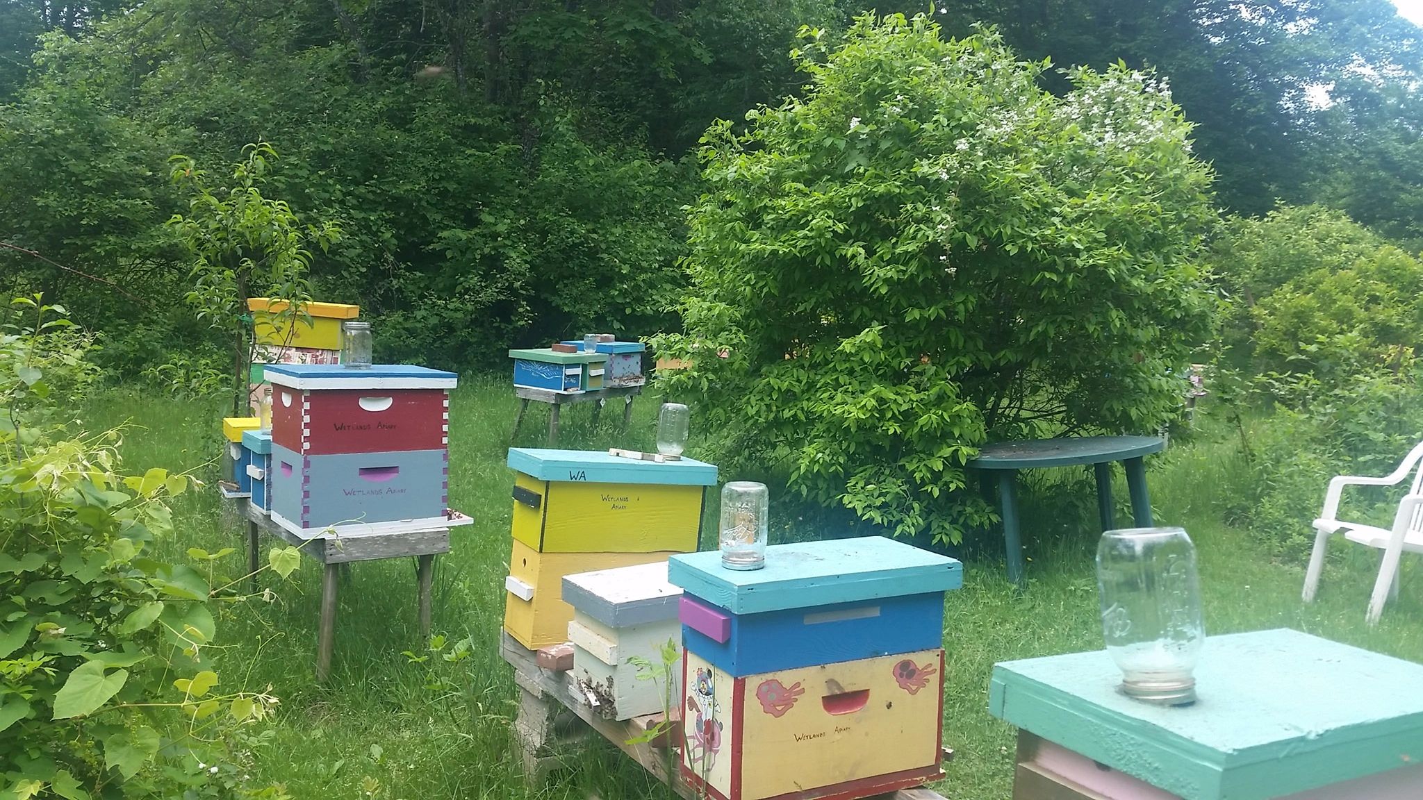 Workshops Wetlands Apiary