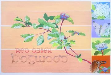 grant smith studio paintings art work stencil print red osier dogwood kimberley bc