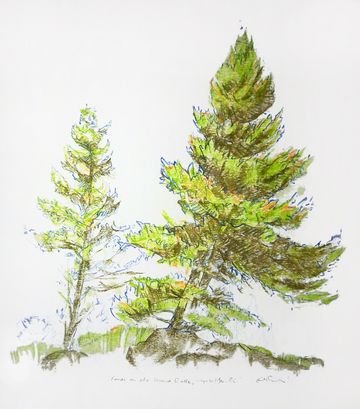 grant smith studio original artwork paintings kimberley bc pine tree butte wycliffe