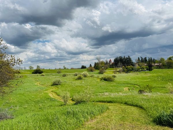 Green grassy field with a cloudy sky overhead.