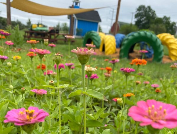 Colorful flowers bloom in a playground with painted tire tunnels.