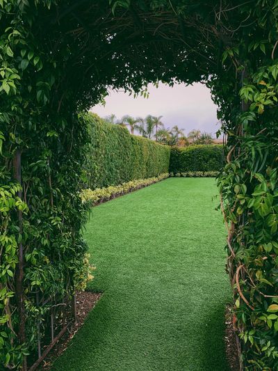 Garden pathway installed for client in Madison, WI.