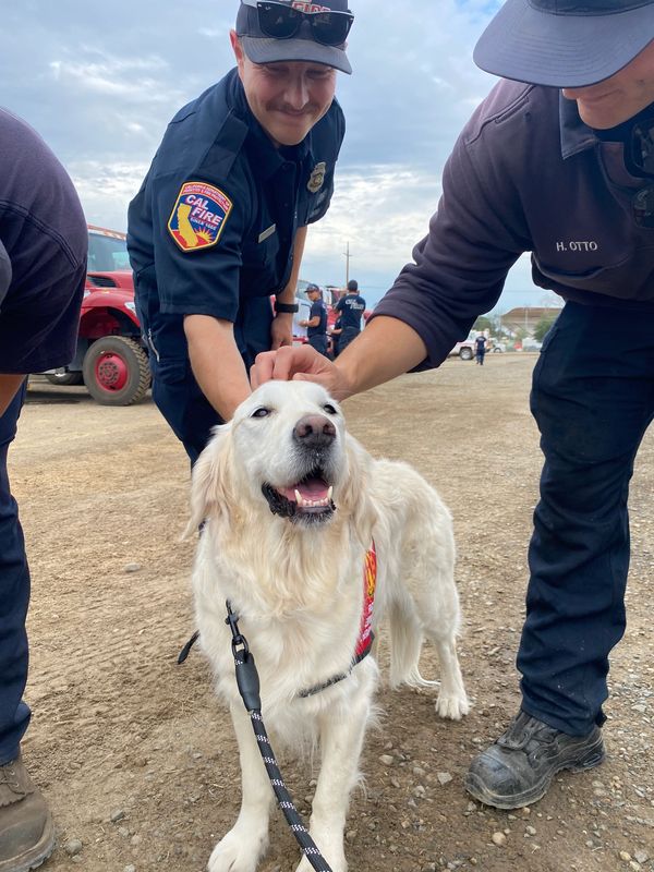 Oak Fire, Lollie, August 1, 2022