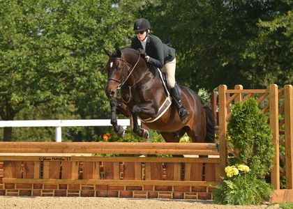 Dee Maki and Suess show in the hunters at the Kentucky Horse Park