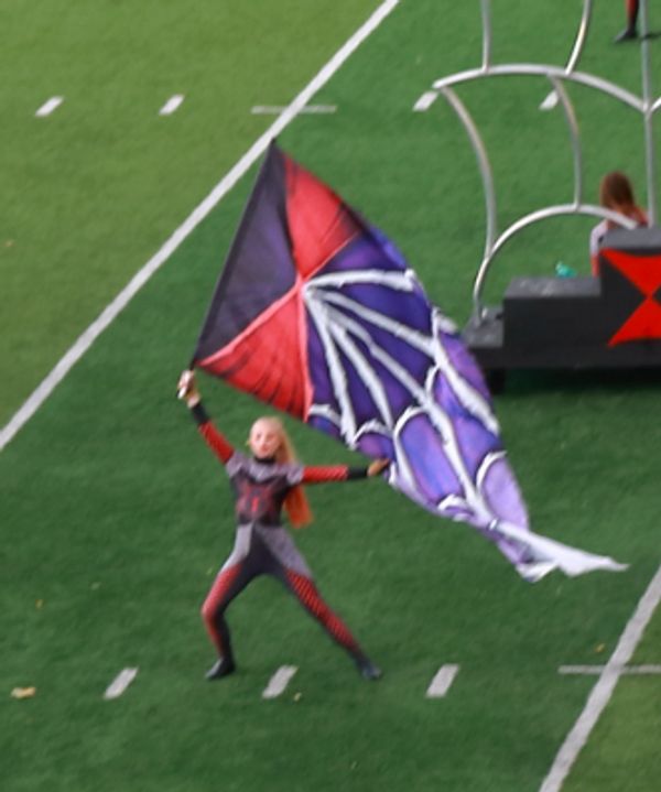 Swing flag; $40 each. Please contact us for availability.