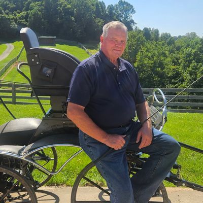 Man sitting on a horse-drawn carriage in a sunny rural setting.