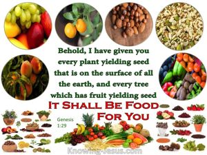 Genesis 1:29 is a powerful verse in which God declares that He has given humanity every seed-