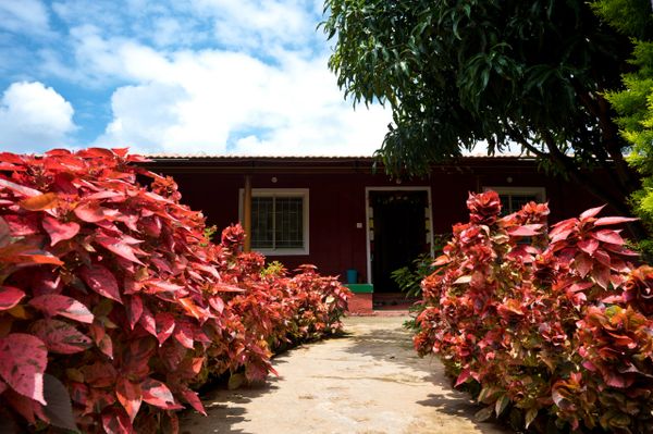Welcoming reception entryway at Namooru Ecostay, guiding guests to their serene retreat.