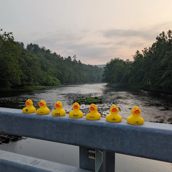 Seven yellow rubber ducks lined up on a metal railing with a river and forest background at sunset.