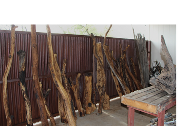 Debarked and treated tree limbs for reuse as fence posts.