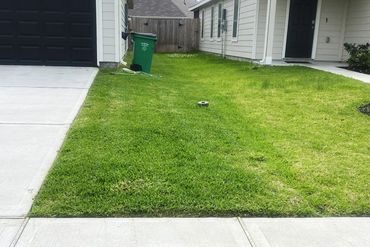 A lawn with a green recycling bin and a fallen garden hose near a house.