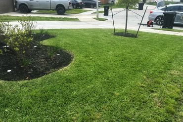 Well-maintained suburban lawn with planted flower beds and neatly trimmed grass.