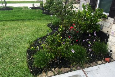 A well-maintained garden bed with various flowering plants and solar lights.