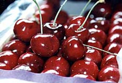 sweet cherry from TURKEY
