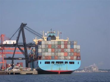 Novagrim importador de aguacates Chile en Francia