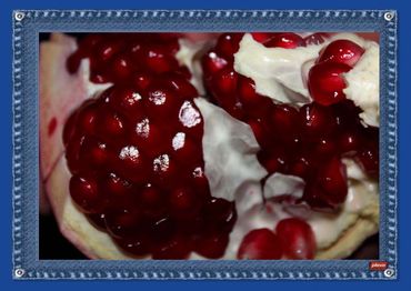 Novagrim_fresh-fruit-importer_since_1999