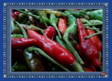 Novagrim_fresh-fruit-importer_since_1999