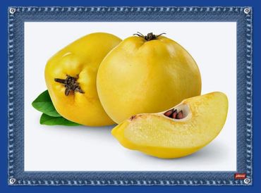 Novagrim_fresh-fruit-importer_since_1999