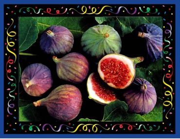Novagrim_fresh-fruit-importer_since_1999