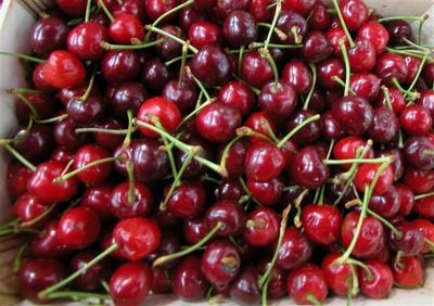 Novagrim_France sweet cherry importer