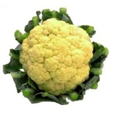 Cauliflower-karfiol-BRASSICA-OLERACEA-VAR_BOTRYTIS