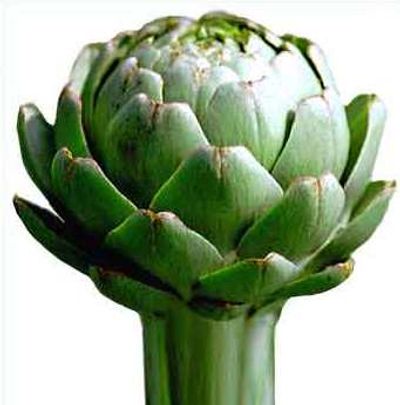 novagrim_france spanish artichoke importer