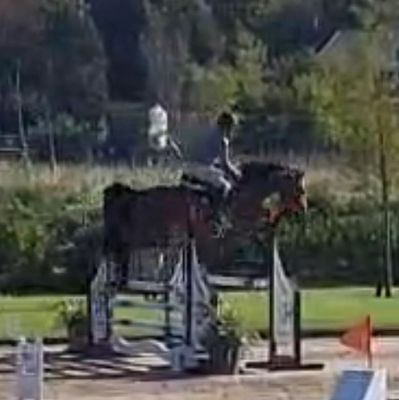 Rider jumping horse over obstacle in outdoor arena.