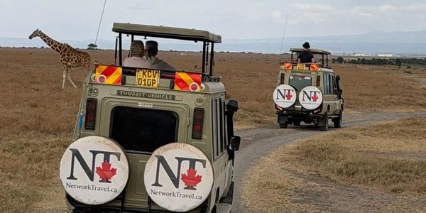 Kenya safari with giraffe crossing