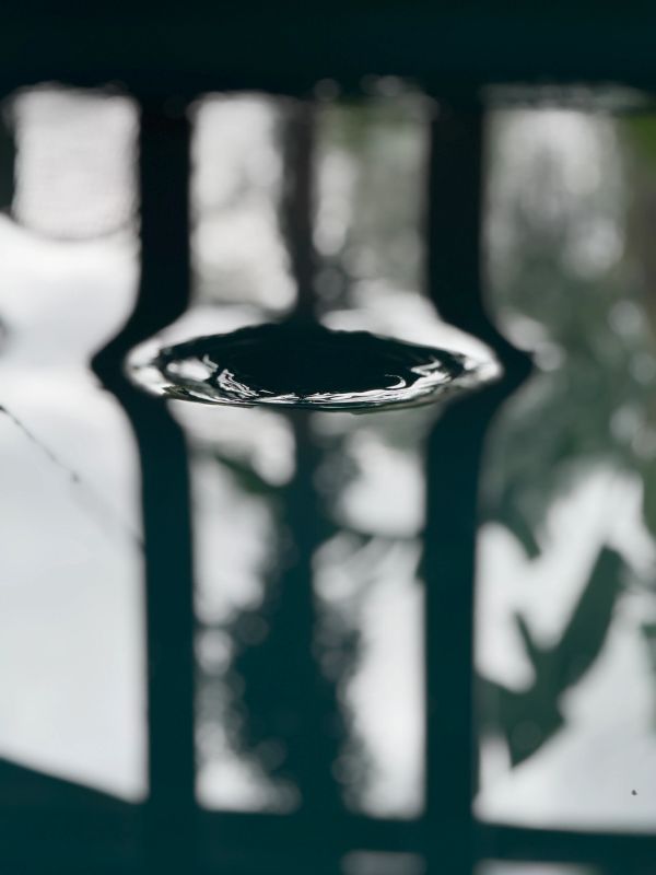 The stillness of the water