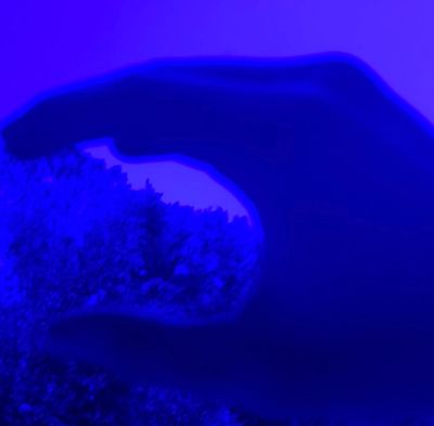 Hand reaching out in blue light.