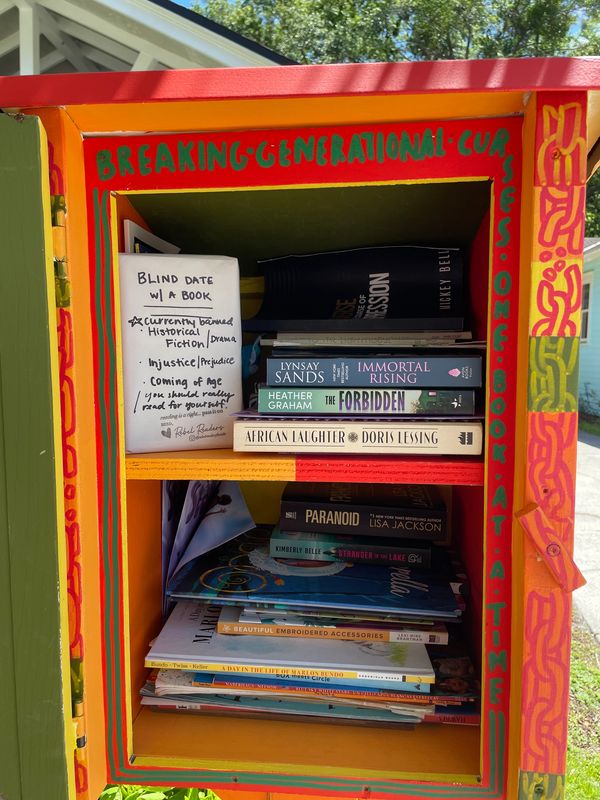 Blind date with a book inside a Little Free Library