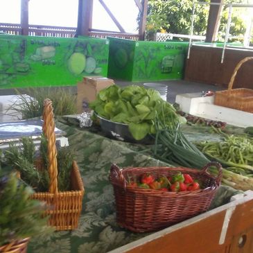 Various fresh produce displayed from dark leafy greens to bright red peppers and purple eggplants.