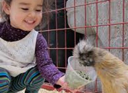 A young girl feeding a bird