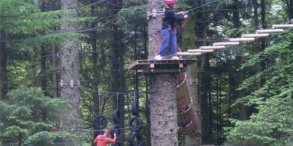 Person on a ropes course in a forest.