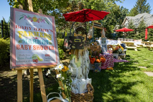 Farmers Market Baby Shower theme