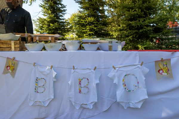 BabyQ, Farmers Market Baby Shower theme