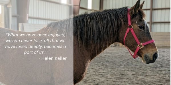 Horse with a Helen Keller quote about love and memories.