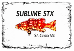 Sublime STX, LLC