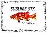 Sublime STX, LLC