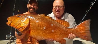 Bonaire night fishing charter