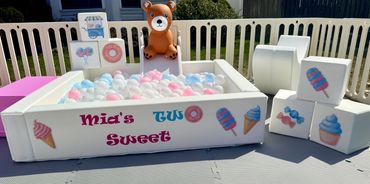 Two Sweet theme. Up close photo of the ball pit and building blocks.
