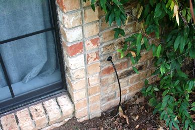 Outdoor water spigot on a brick wall near a window and bushes.