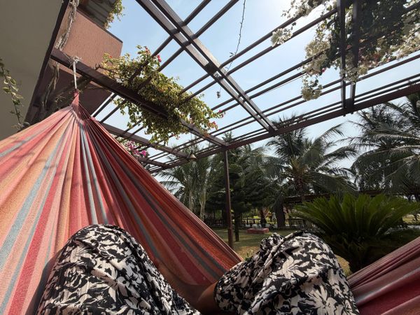 Relaxing in a hammock under a sunny pergola with plants and trees around.