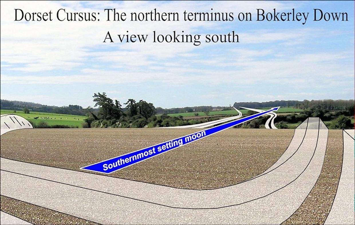 A view looking south from northern terminus. Terminus aims at long barrow Gussage St Michael 4.