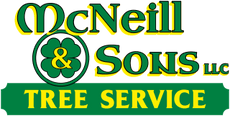 McNeill & Sons Tree Service 