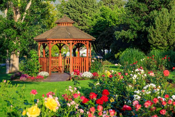 Wooden gazebo surrounded by colorful rose bushes in a lush green garden
