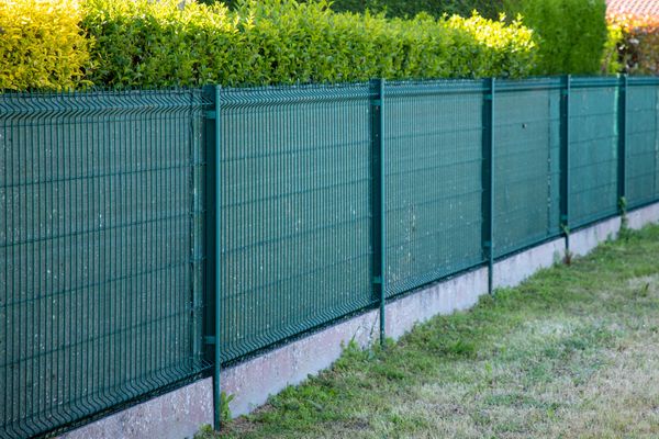 Green mesh fence with concrete base and bushes along the top