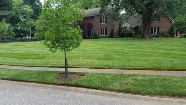front lawn perfectly mowed