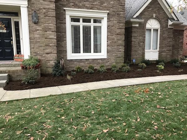leaf removal services louisville ky