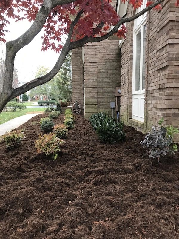 professional mulching service louisville ky